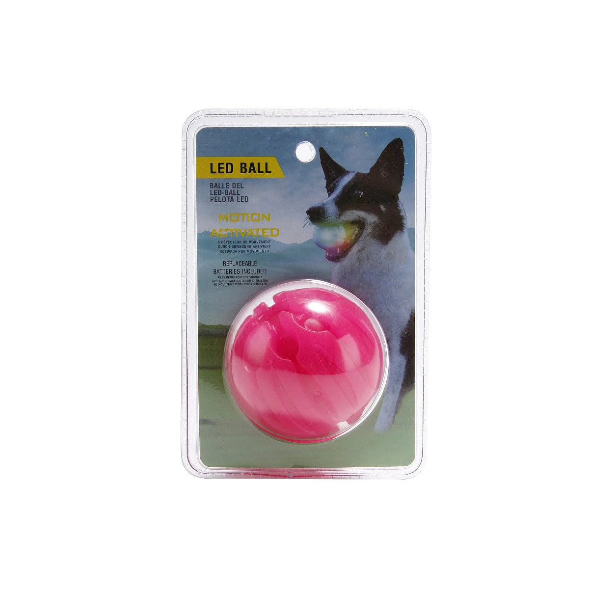 Light Up Playtime: LED Biting Ball for Your Furry Friend! 🌟🐶