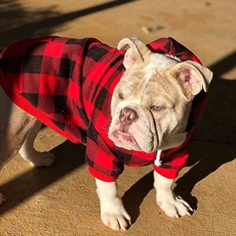 Snuggle Your Pup in Style with our Adorable Dog Hoodie Sweaters! 🐶❤️🎩