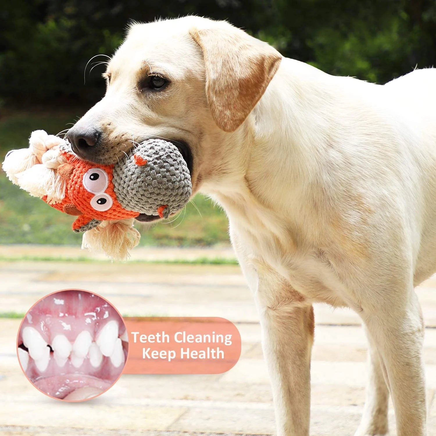 Durable Plush Squeaky Toy for Large Aggressive Chewers