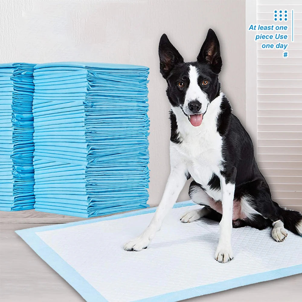 Ultimate Absorbent Training Pads for Your Pup or Kitty - Disposable & Healthy! 🐾✨