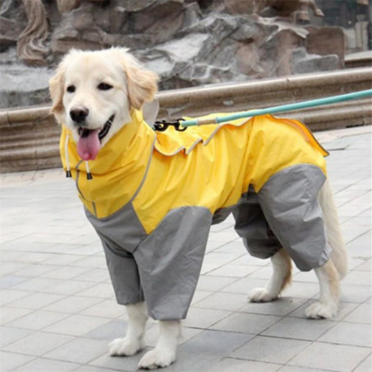 All-weather waterproof dog raincoat jumpsuit on a golden retriever.