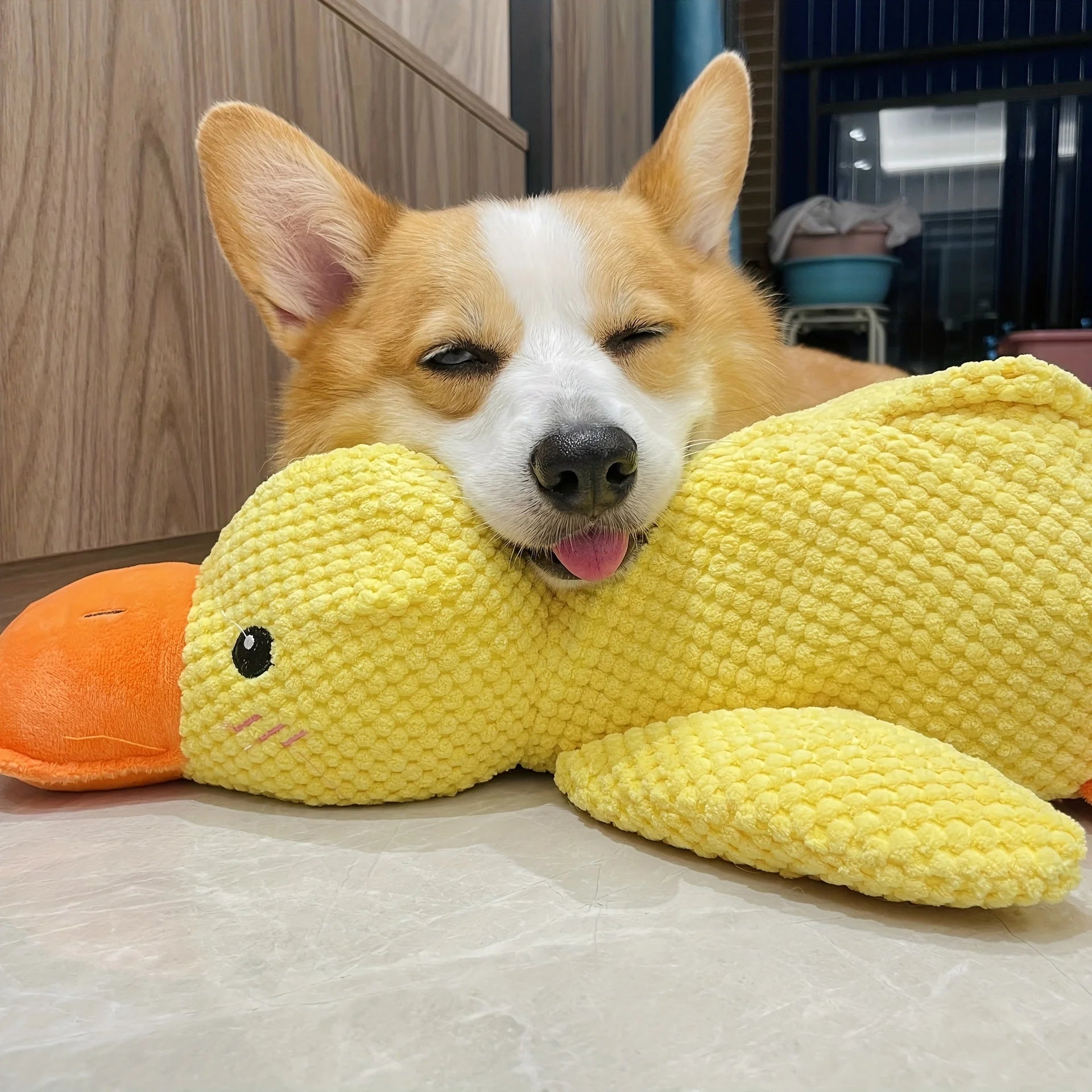 Dog resting with a yellow squeaky plush toy.