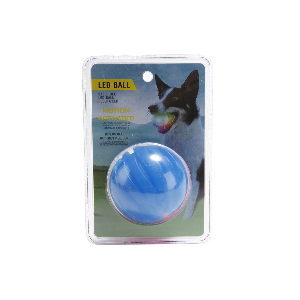 Light Up Playtime: LED Biting Ball for Your Furry Friend! 🌟🐶