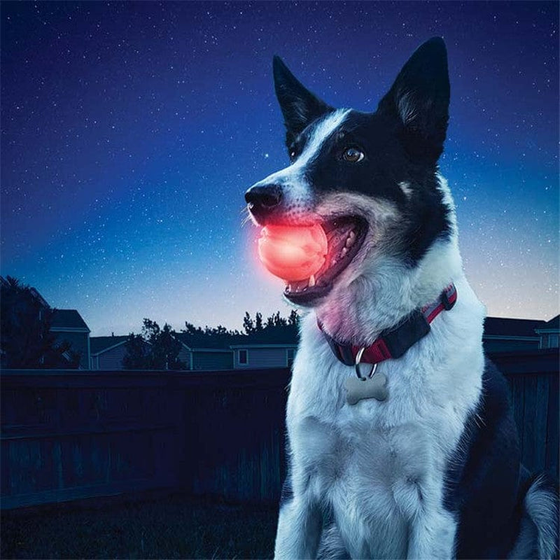 Light Up Playtime: LED Biting Ball for Your Furry Friend! 🌟🐶