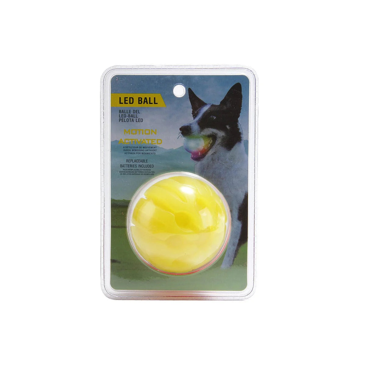 Light Up Playtime: LED Biting Ball for Your Furry Friend! 🌟🐶