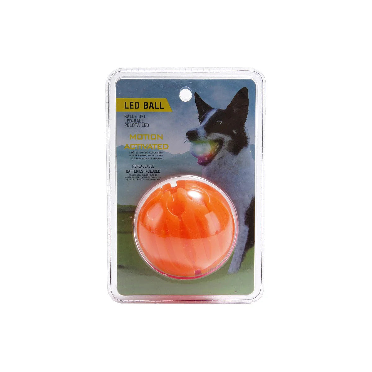 Light Up Playtime: LED Biting Ball for Your Furry Friend! 🌟🐶